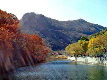 新澳天天开奖资料大全旅游团，迈腾论坛